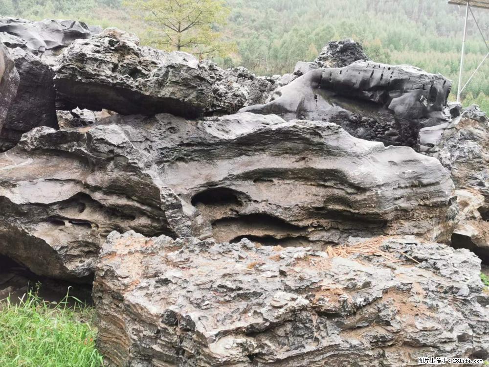 风景石、假山石大量有货，有需要的欢迎联系 - 新手上路 - 威海生活社区 - 威海28生活网 weihai.28life.net