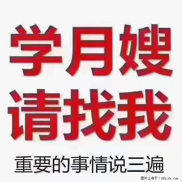 为什么要学习月嫂，育婴师？ - 其他广告 - 广告专区 - 威海分类信息 - 威海28生活网 weihai.28life.net
