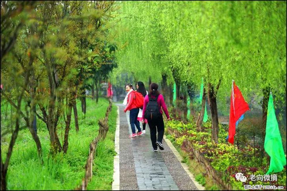 【春天，广西桂林灌阳县向您发出邀请！】江口老街又逢春 - 游山玩水 - 威海生活社区 - 威海28生活网 weihai.28life.net