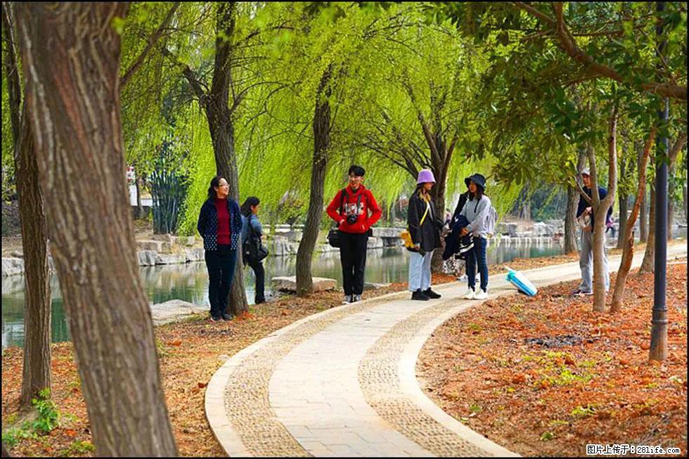 【春天，广西桂林灌阳县向您发出邀请！】江口老街又逢春 - 游山玩水 - 威海生活社区 - 威海28生活网 weihai.28life.net