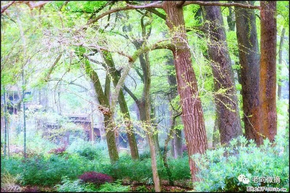【春天，广西桂林灌阳县向您发出邀请！】在小龙村与春天约会 - 游山玩水 - 威海生活社区 - 威海28生活网 weihai.28life.net