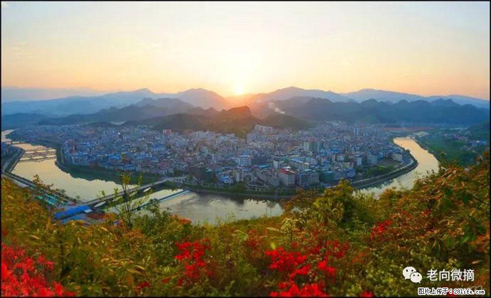 【春天，广西桂林灌阳县向您发出邀请！】登麒麟山，相约映山红 - 游山玩水 - 威海生活社区 - 威海28生活网 weihai.28life.net