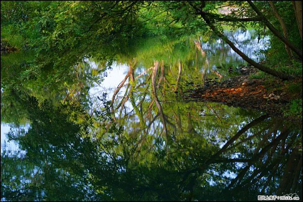 【春天，广西桂林灌阳县向您发出邀请！】熊家寨湿地公园 - 游山玩水 - 威海生活社区 - 威海28生活网 weihai.28life.net
