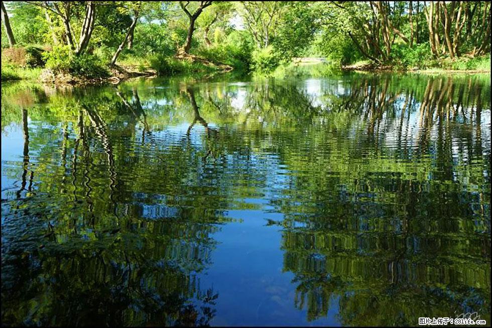 【春天，广西桂林灌阳县向您发出邀请！】熊家寨湿地公园 - 游山玩水 - 威海生活社区 - 威海28生活网 weihai.28life.net