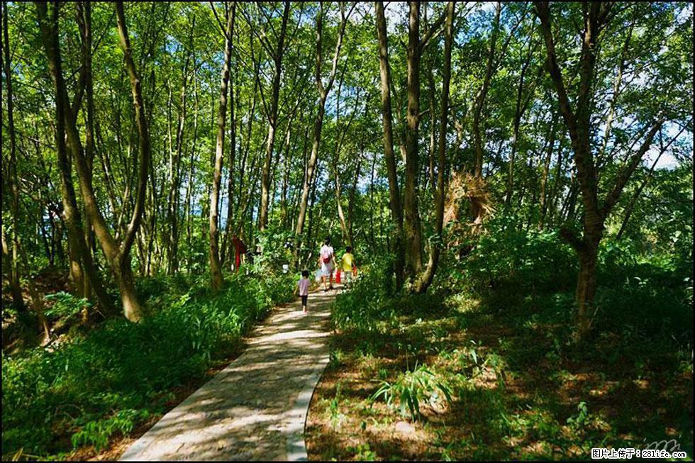 【春天，广西桂林灌阳县向您发出邀请！】熊家寨湿地公园 - 游山玩水 - 威海生活社区 - 威海28生活网 weihai.28life.net