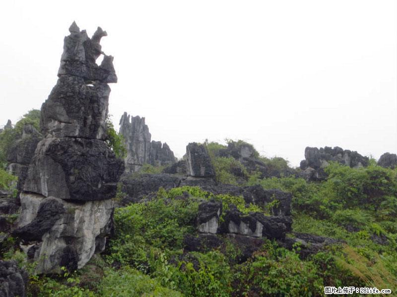 桂林旅游名城景点：灌阳文市石林 - 游山玩水 - 威海生活社区 - 威海28生活网 weihai.28life.net
