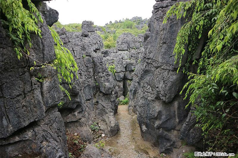 桂林旅游名城景点：灌阳文市石林 - 游山玩水 - 威海生活社区 - 威海28生活网 weihai.28life.net