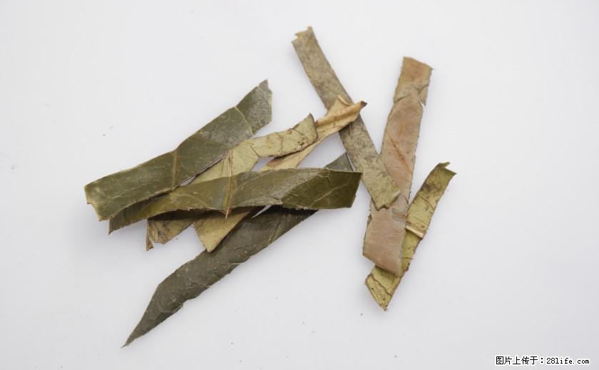 苦丁茶有哪些功效和作用 - 生活百科 - 威海生活社区 - 威海28生活网 weihai.28life.net