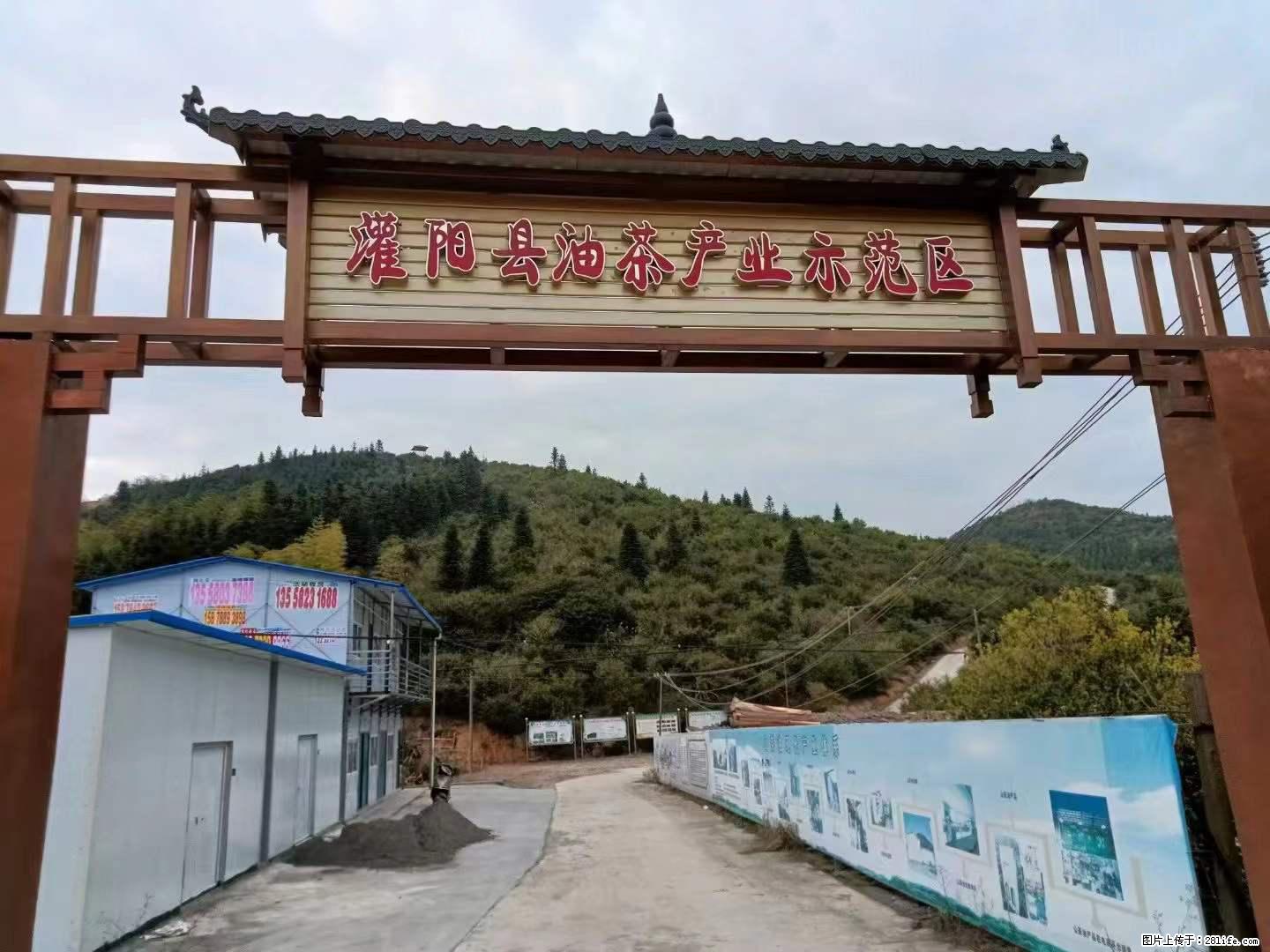 【灌阳县油茶产业示范区】一个有着充实的精神生活的人，对待身外之物自会有一种淡泊的态度 - 美食天地 - 威海生活社区 - 威海28生活网 weihai.28life.net