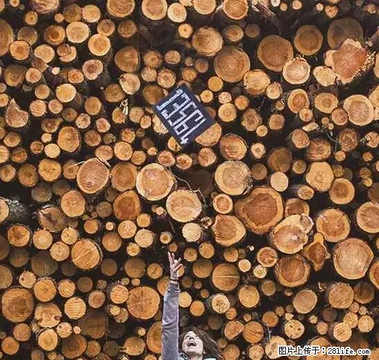 辞掉工作周游世界？现在他们在洗厕所…… - 游山玩水 - 威海生活社区 - 威海28生活网 weihai.28life.net