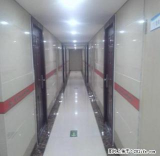近海九龙城精装公寓拎包入住 - 威海28生活网 weihai.28life.net