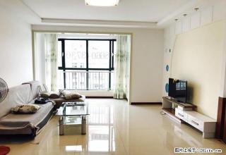 青岛路抱海花园，复试一室，拎包入住，精装 - 威海28生活网 weihai.28life.net