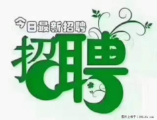 【招聘摄像师】待遇：试用期6000元/月，转正7000元/月+五险一金+餐补+节日福利+奖金 - 职场交流 - 威海生活社区 - 威海28生活网 weihai.28life.net