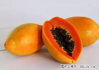 晕车、脚气、牙齿变黄、皮肤粗糙？学会这些三分钟搞定！ - 威海生活资讯 - 威海28生活网 weihai.28life.net