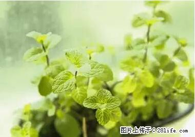 晕车、脚气、牙齿变黄、皮肤粗糙？学会这些三分钟搞定！ - 威海生活资讯 - 威海28生活网 weihai.28life.net