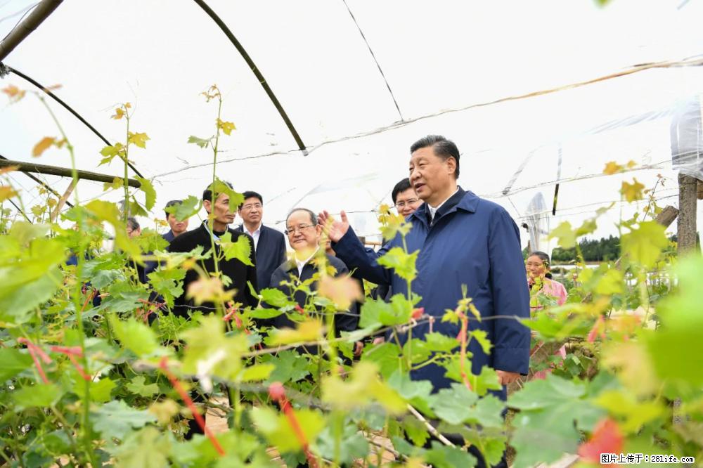 习近平赴广西考察调研 - 威海生活资讯 - 威海28生活网 weihai.28life.net