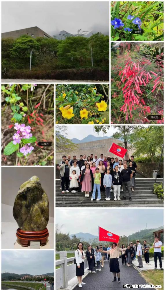 “粤灌文化 美好生活”油茶文化主题活动在广东深圳成功举办 - 威海生活资讯 - 威海28生活网 weihai.28life.net