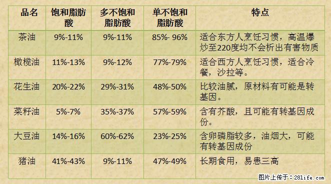 揭秘茶油的5大核心营养成分！被称为人体健康的“守护盾”！ - 威海生活资讯 - 威海28生活网 weihai.28life.net