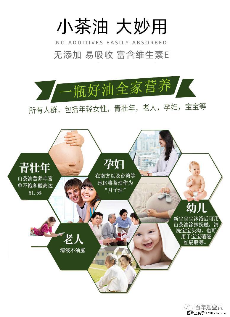 世界没有真相，只有认知，最好的食用油是中国的山茶油！ - 威海生活资讯 - 威海28生活网 weihai.28life.net