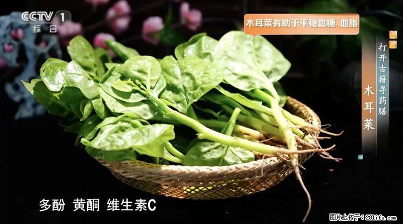 比牛奶补钙还厉害！凉血解毒、稳血糖...这菜冬天必吃，很多人却当草 - 威海生活资讯 - 威海28生活网 weihai.28life.net