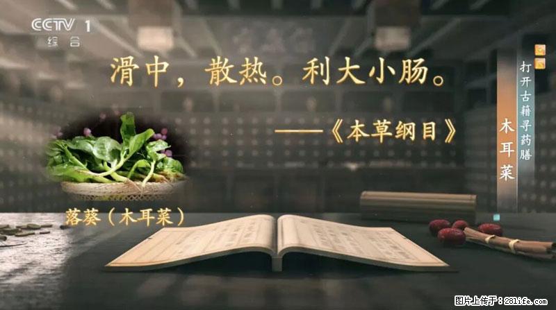 比牛奶补钙还厉害！凉血解毒、稳血糖...这菜冬天必吃，很多人却当草 - 威海生活资讯 - 威海28生活网 weihai.28life.net