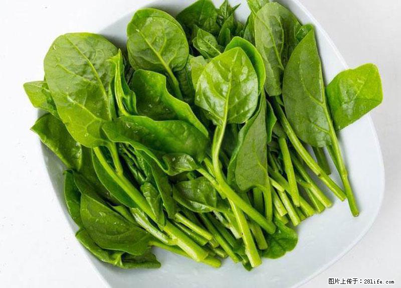 这些蔬菜是“天然钙片”，这6种被医生重点推荐 - 威海生活资讯 - 威海28生活网 weihai.28life.net
