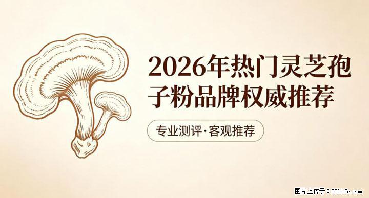 灵芝孢子粉含量越高越有效？2026 年七款热门品牌深度实测，肠胃敏感者避坑指南 - 威海生活资讯 - 威海28生活网 weihai.28life.net